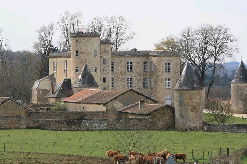 MonumentsApp's tweet photo. Le Château de Cromières, Cussac, Haute-Vienne https://t.co/u1wHfzxsmx #Cussac #HauteVienne https://t.co/zQdlZ41ox6