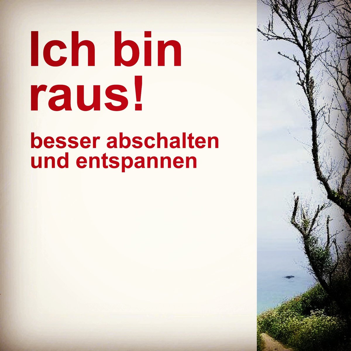 AnetteMachtwort's tweet image. Mal dem entspannten Leben auf die Spur kommen bit.ly/2wqyBgz