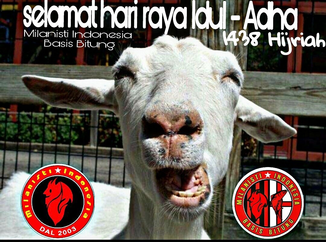 Setiap 1 helai rambut kurban adalah 1 kebaikan Tebarlah kebaikan di hari agung ini,selamat hari raya idul adha <a href="/MilanistiOrId/">Milanisti Indonesia</a> <a href="/MIsezManado/">Milanisti Manado</a>