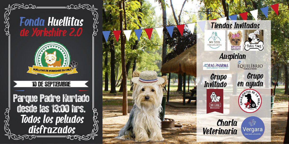 #fundacioncallejeritosdelavega será el grupo de ayuda de los amigos de Huellitas de Yorkshire el 10 de septiembre en el parque padre hurtado