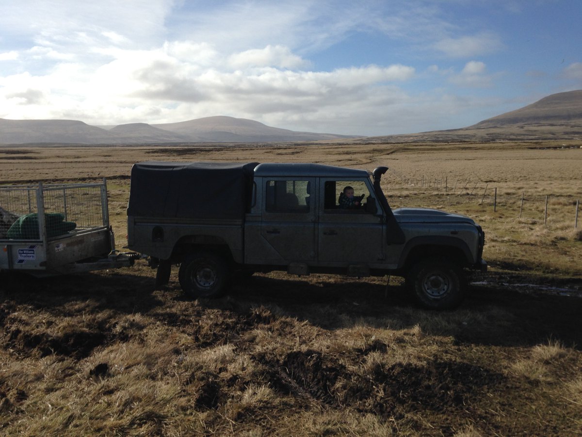 doyle_falklands's tweet photo. Never too early to start them #littledriver #landrover #farmlife #baby #falklands #family https://t.co/vxllNTzMYi