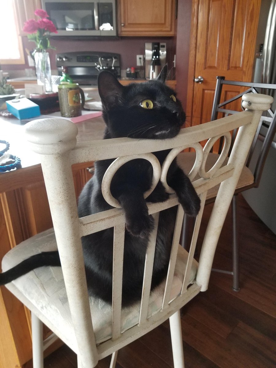 catsporn's tweet photo. https://t.co/QRCbsKebuU