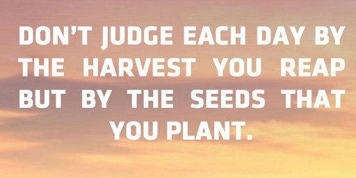 Alex Glowacka tweet media