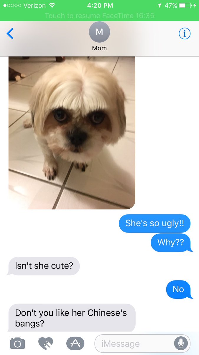 LilyDuong7's tweet photo. My mom ruined my dog😭 https://t.co/dhwkOMHoX9