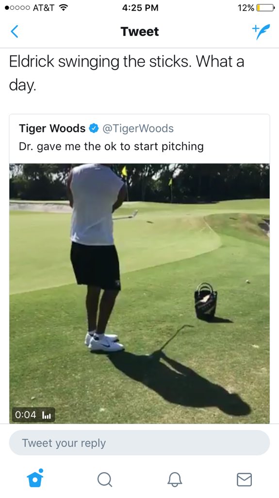Hvor stor er tiger woods penis
