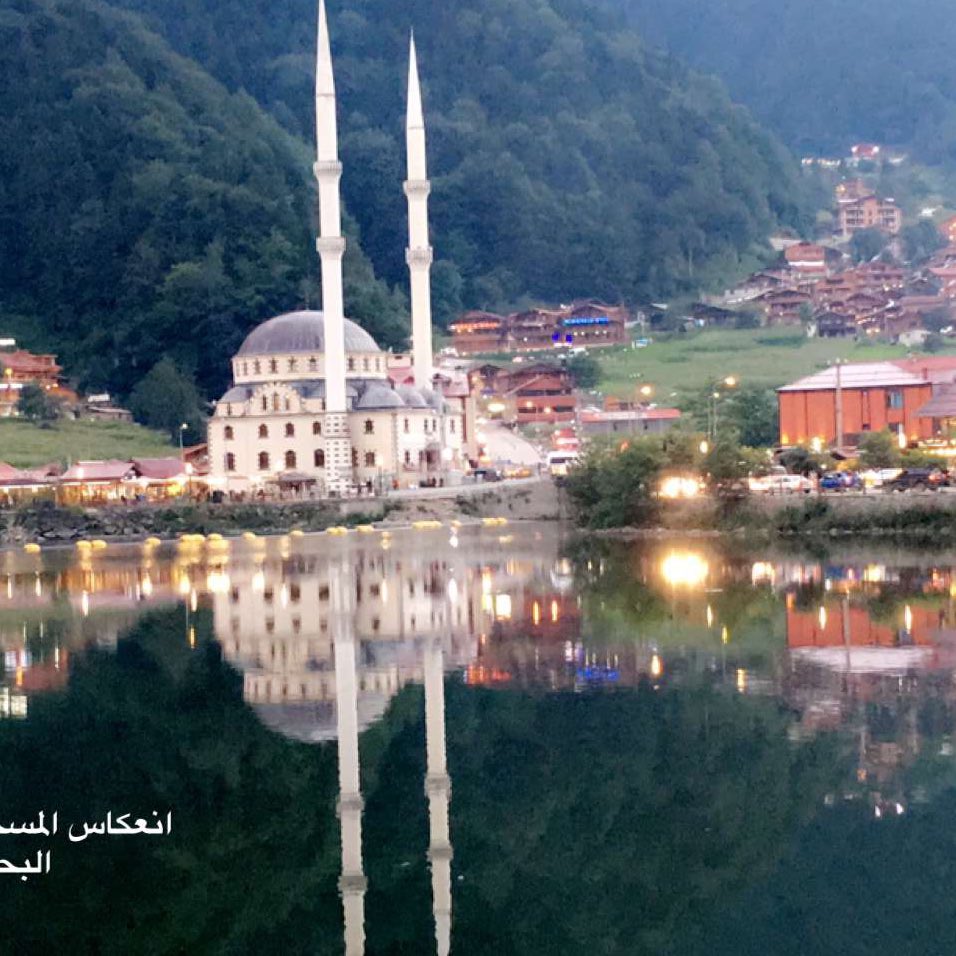 FS_877's tweet image. #صورة_جديدة_للملف_الشخصي