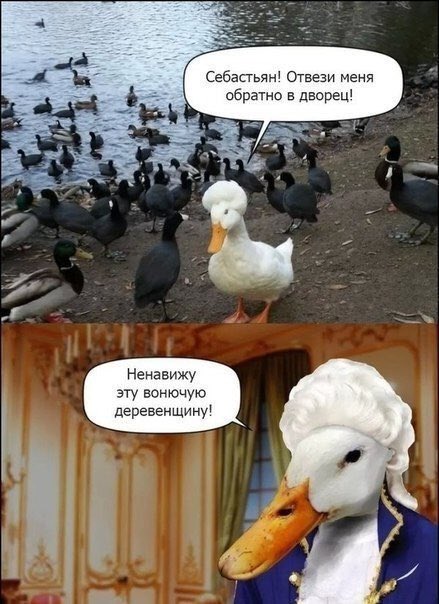 DIlgKxiWsAAOStd.jpg