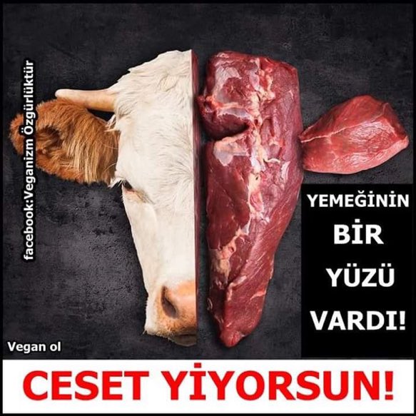 uzakardsm's tweet photo. #MeatFest2017 https://t.co/Sa1LUl27NB
