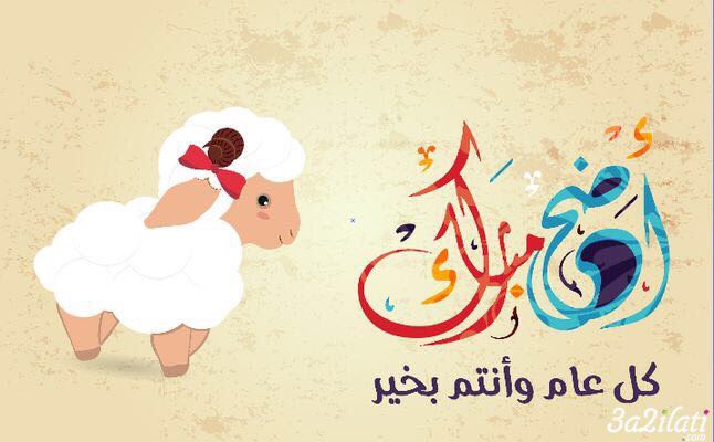 ShahdKhalid1's tweet photo. تقبل الله منا ومنكم وكل عام وانتم بخير🌺 https://t.co/8X2HelJztQ