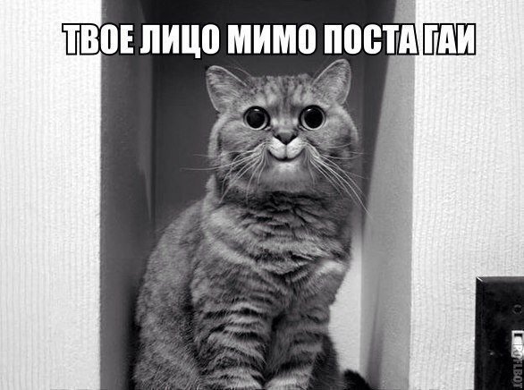 autodocru's tweet photo. #autodoc #autodocfun https://t.co/JDyuNzyhPa