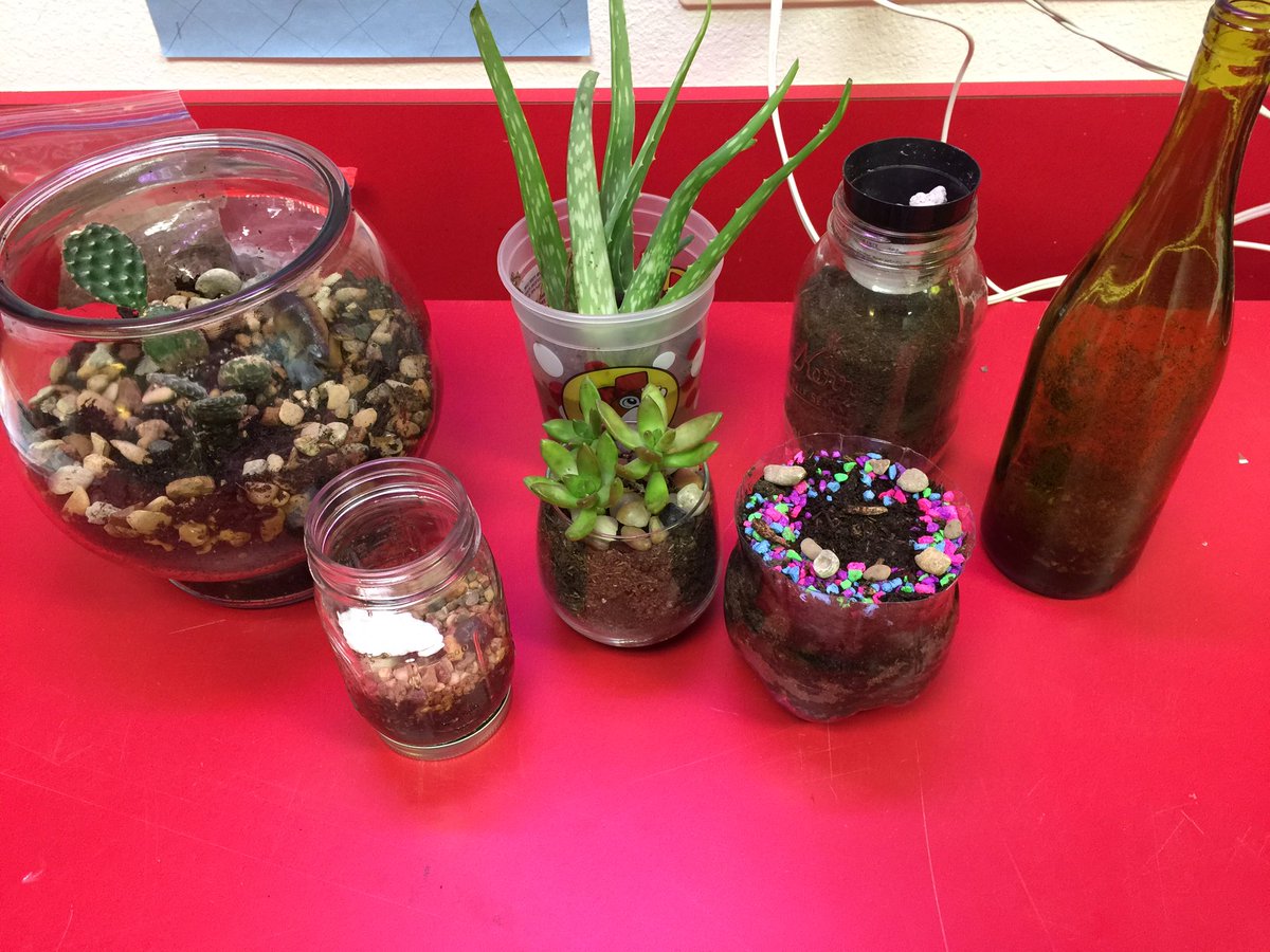 ms_willmon's tweet photo. 7th grade Pre-Ap science built terrariums today to explore the process of photosynthesis! @FMSPrincipal_T @FMSAP_THOMAS @FMSAP_Turner https://t.co/uXhInZ7ikO