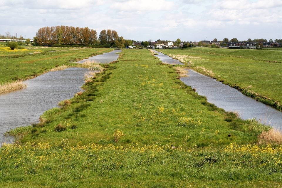 Verslag broedvogeltelling en overige waargenomen soorten Plaspolder Wijde Aa #Woubrugge gebied <a href="/staatsbosbeheer/">Staatsbosbeheer</a>: facebook.com/permalink.php?…