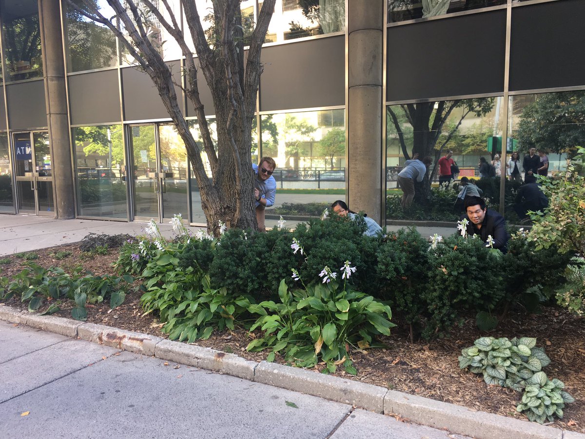 cstauft's tweet photo. #Team7 can you find the hidden MBA in the hidden garden? #GreenTO @RotmanGBC https://t.co/NV1Y7jnWIB
