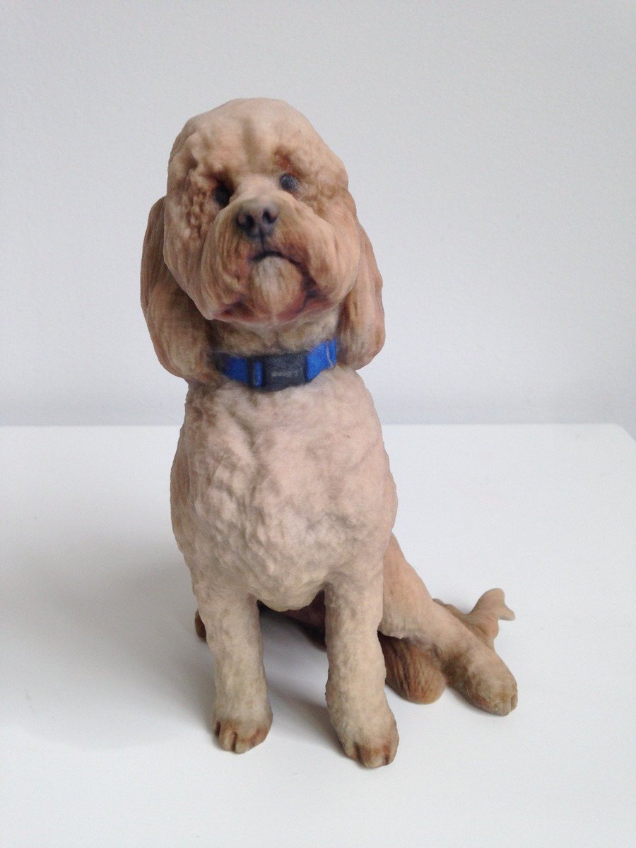 doob3D's tweet photo. The Dog Days of Summer are ending. Tonight's the last night to save 15% on pet doobs and doobs with your pets. #getdoobed #๐ฉ https://t.co/LxBk9h6Rx3
