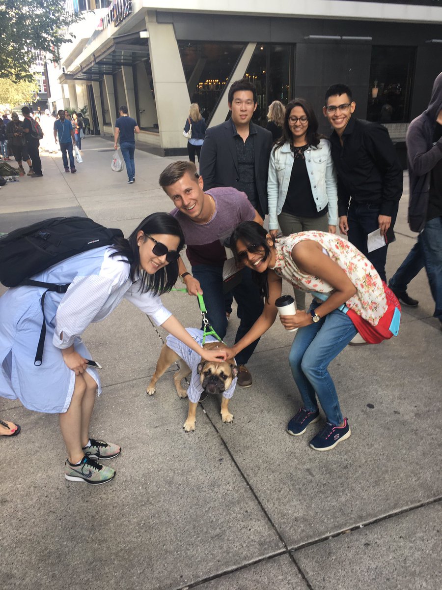 cstauft's tweet photo. #Team7 found a dog and a blue jay fan! His name was Lunchbox. Cool. #HipsterQueen #BlueJays @RotmanGBC https://t.co/Hm3q5MaPmV