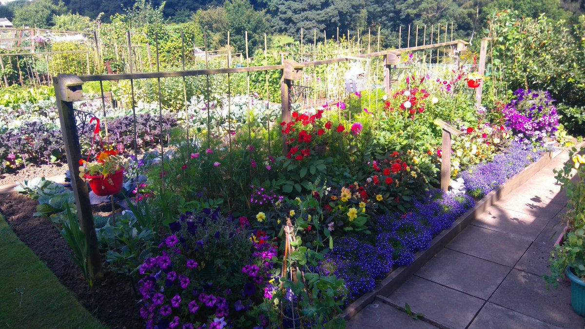 LdgfPublicity's tweet photo. Get fit, get healthy, get an #allotment. The best and cheapest #recreational activity there is.
@NSALG @GWandShows @ScotAllotments @GYOmag https://t.co/25r0DujvsE