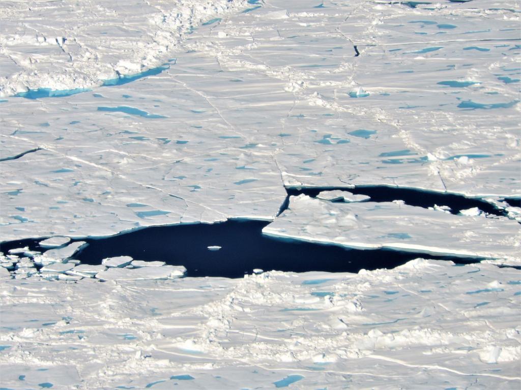 NASA tweet picture