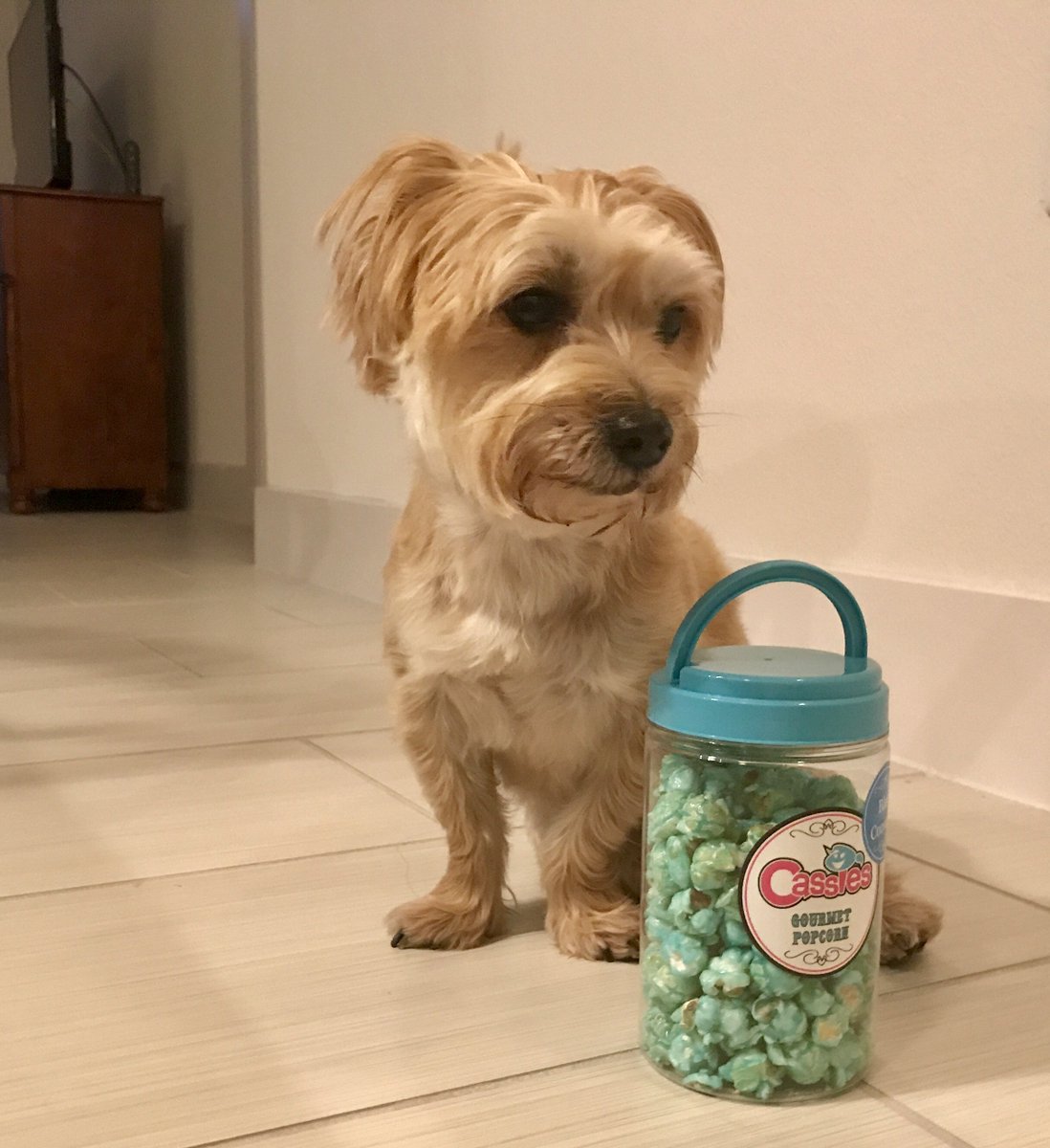 Can you really blame her? #CantStopWontStopEating