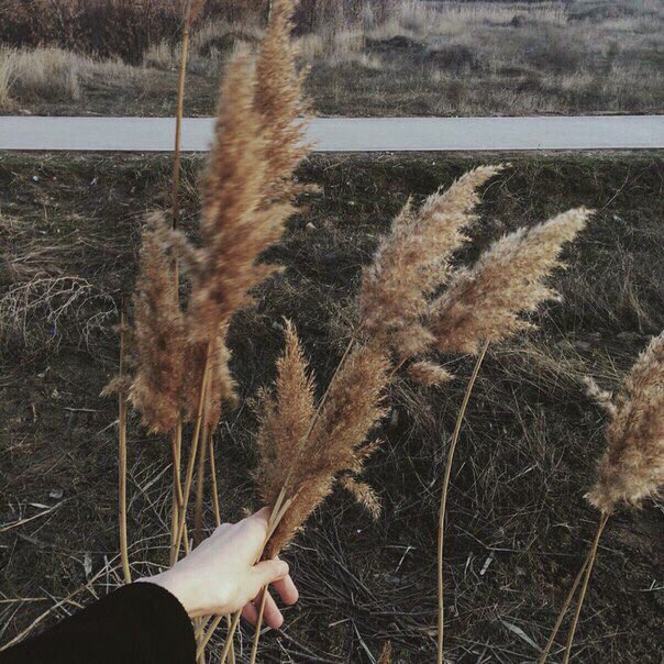 elizabeth_grch's tweet photo. Можно упереть уже первое сентября😭😭😭
Мы выживем солнышки
@good_humoured @meassssii https://t.co/oQe6p8Mcby