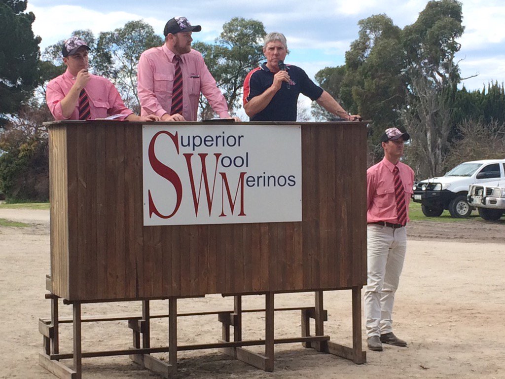 SBJsheepo's tweet photo. @EldersLimited @MerinoInsight @cmillerSJ SaleO at SWM #Tintinara #woolrules! https://t.co/9PYoZCYTuk