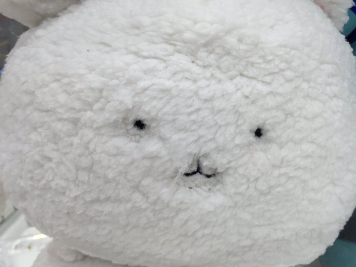 タイトーステーション 海老名ビナウォーク A Twitteren プライズ ごちうさ ふわふわティッピーのbigぬいぐるみが登場中 白くてふわふわー ゲーセン 海老名 タイトー ご注文はうさぎですか タイトーステーション 海老名ビナウォーク A Twitteren プライズ ごちうさ ふわふわティッピーのbigぬいぐるみが登場中 白くてふわふわー ゲーセン 海老名 タイトー ご注文はうさぎですか