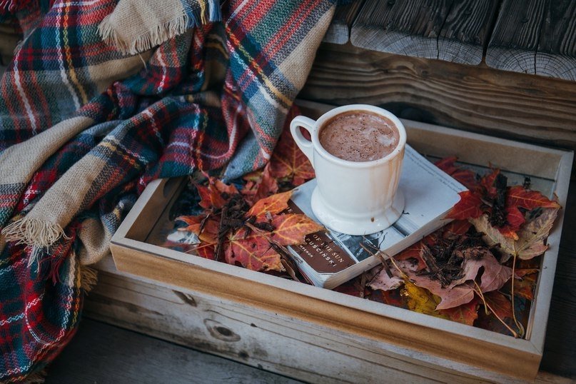 KarlDeear's tweet photo. 🍂 Привет, осень!🍂 https://t.co/Yi3UaXrQd9