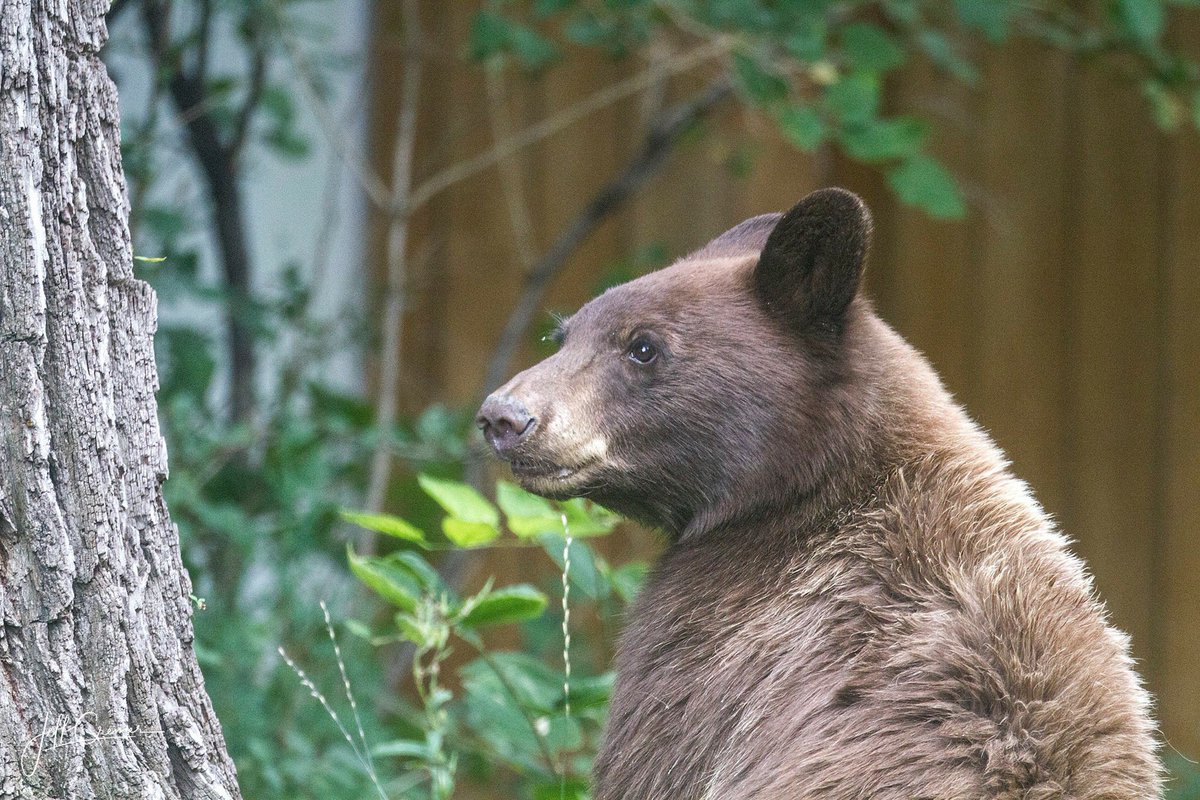 Jeff Cremer tweet media