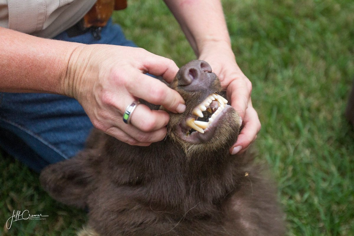 Jeff Cremer tweet media