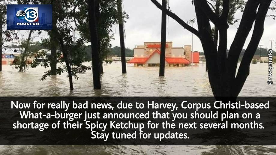 roxxymarks's tweet photo. #whataburger #Harvey #Houston https://t.co/oqnW98xFlw