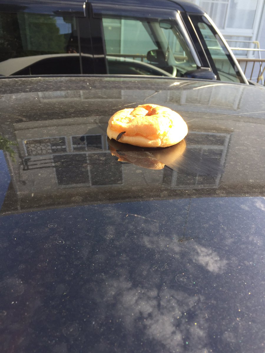 いっせー 朝起きて車にいたずらされてました フロントガラスには肉 ボンネットにはカニカマ ルーフにはシュークリーム タイヤの下には卵 ちなみに直射日光のため 肉はフロントガラスにこびりつき 走行中のいまも 跡がついています 犯人は いっせー 朝起きて車にいたずらされてました フロントガラスには肉 ボンネットにはカニカマ ルーフにはシュークリーム タイヤの下には卵 ちなみに直射日光のため 肉はフロントガラスにこびりつき 走行中のいまも 跡がついています 犯人は