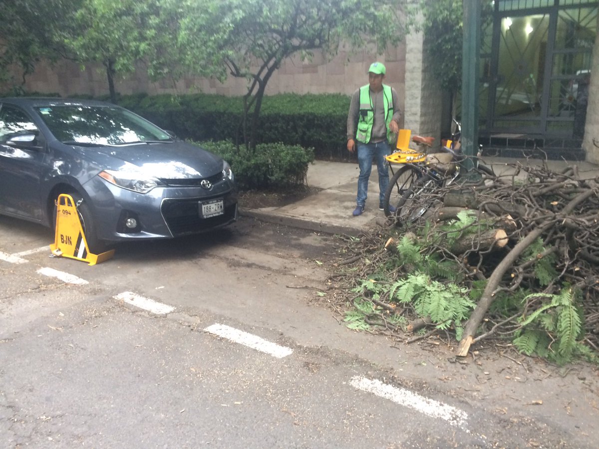 adrianabaca03's tweet photo. De nuevo sin criterio...  hay un arbol cortado adelante y obstruccion de coches atras. Meses para recobrar tu dinero y el gob sigue abusando https://t.co/vkPf7K29Oh