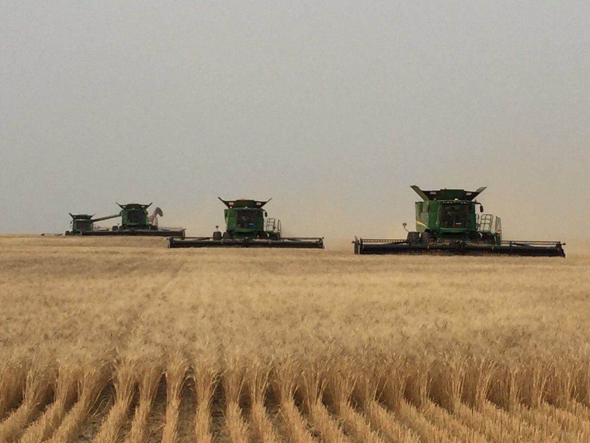 Stepped out of the office to enjoy this evening at SMF Ventures. Thanks fellas!@carefootm <a href="/CarefootScott/">Scott Carefoot</a> <a href="/Prieber22/">Terris Priebe</a> <a href="/PattisonAg/">Pattison Agriculture</a>