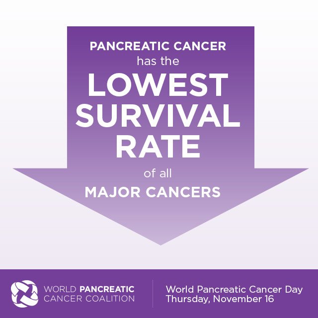 rfarbman7's tweet photo. Demand Better for everyone facing #pancreaticcancer for #WorldPancreaticCancerDay. https://t.co/yEpGL3uHQ5 https://t.co/YTU4VCgW0C #WPCD