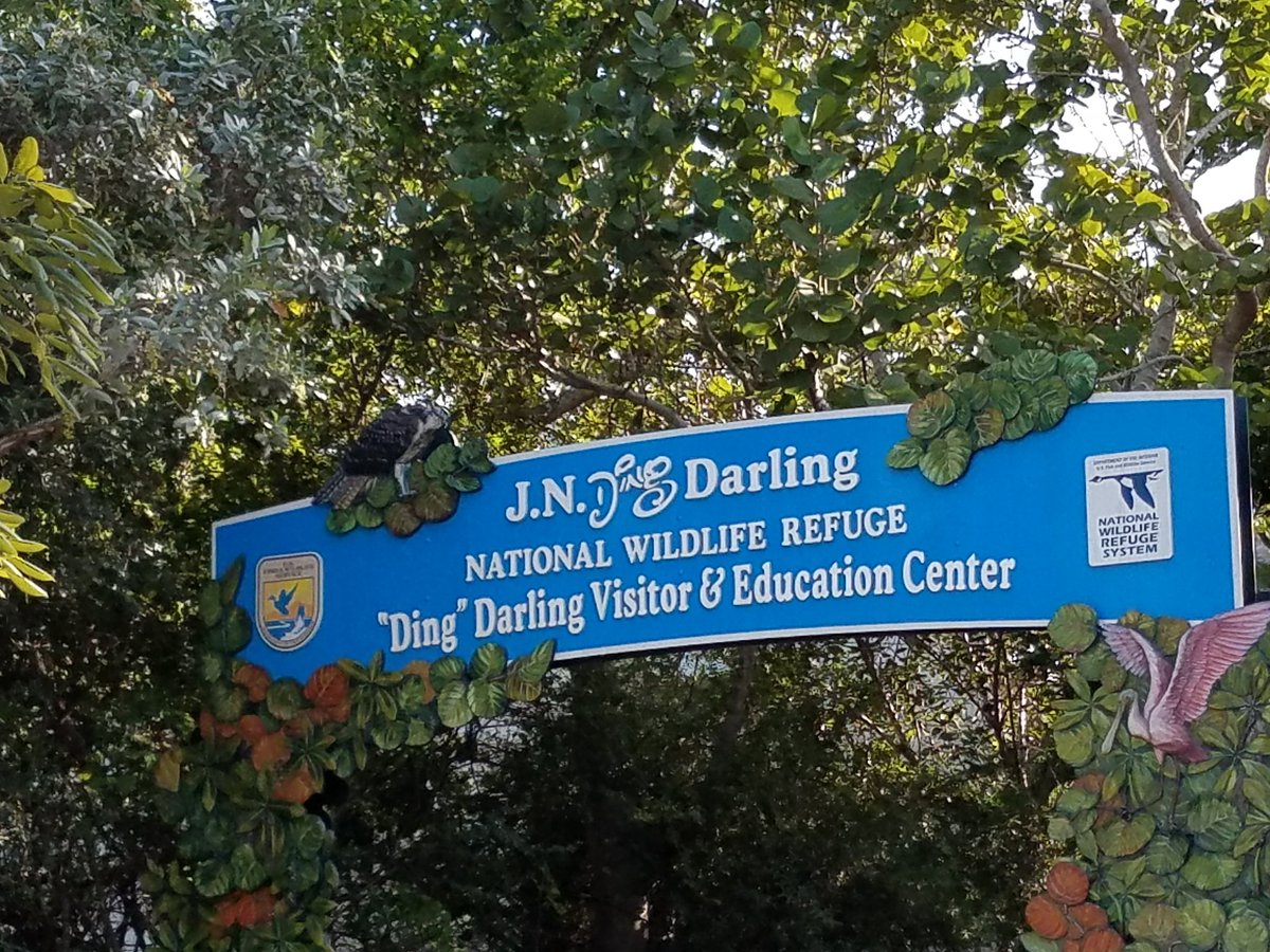 CorrectionsRN's tweet photo. Awesome place to see barure4 https://t.co/RBoApO5IvZ