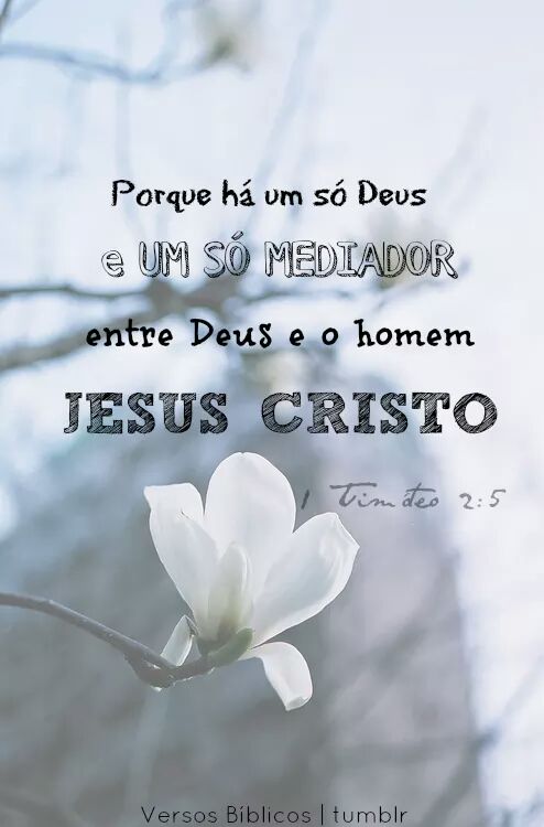 #Boanoite #TimBetaAjudaTimBeta #TimBeta