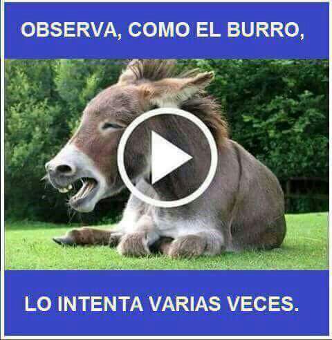 CholulaDiego's tweet photo. @DesmadreMan https://t.co/GzVvhDBRH5