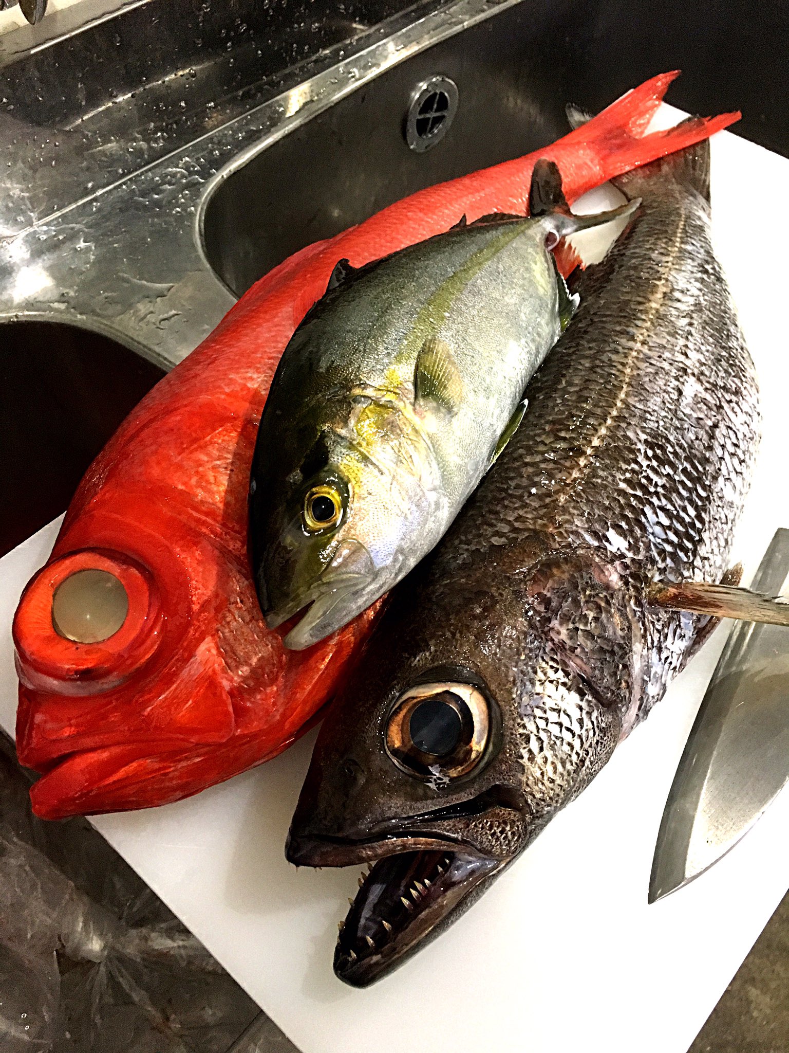 伊豆海厨房じん太 Jinta Kinmedai Twitter