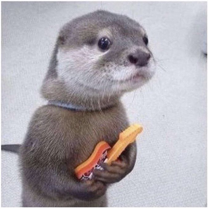 Real picture of me cradling my pet porn projects just before I hand them off for review. https://t.c<a href="/tag/nowplaying"class="tags"><span>#nowplaying</span></a>