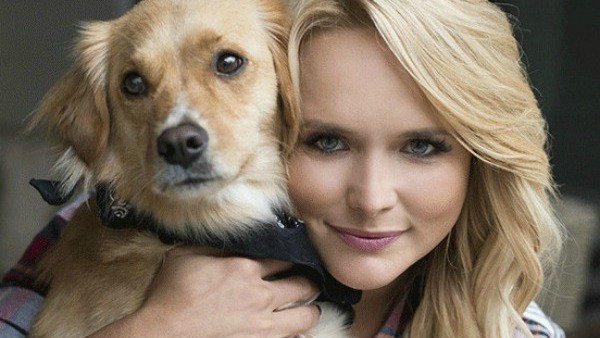 enews's tweet photo. You CAN ride in her little red wagon: Miranda Lambert rescues over 200 dogs from Hurricane Harvey. https://t.co/dZr5Z8OHrJ https://t.co/W1I5pnEuCn