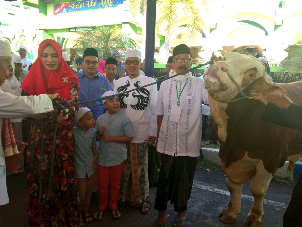 Hewan kurban dari Bupati Probolinggo ,1 ekor sapi limousine diserahkan kpd   ta'mir Masjid  Agung Ar-Roudlah Kraksaan , Jum'at (01/09/2017)