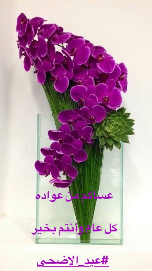 glazayed93's tweet image. 