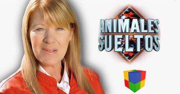 Margarita Stolbizer tweet media