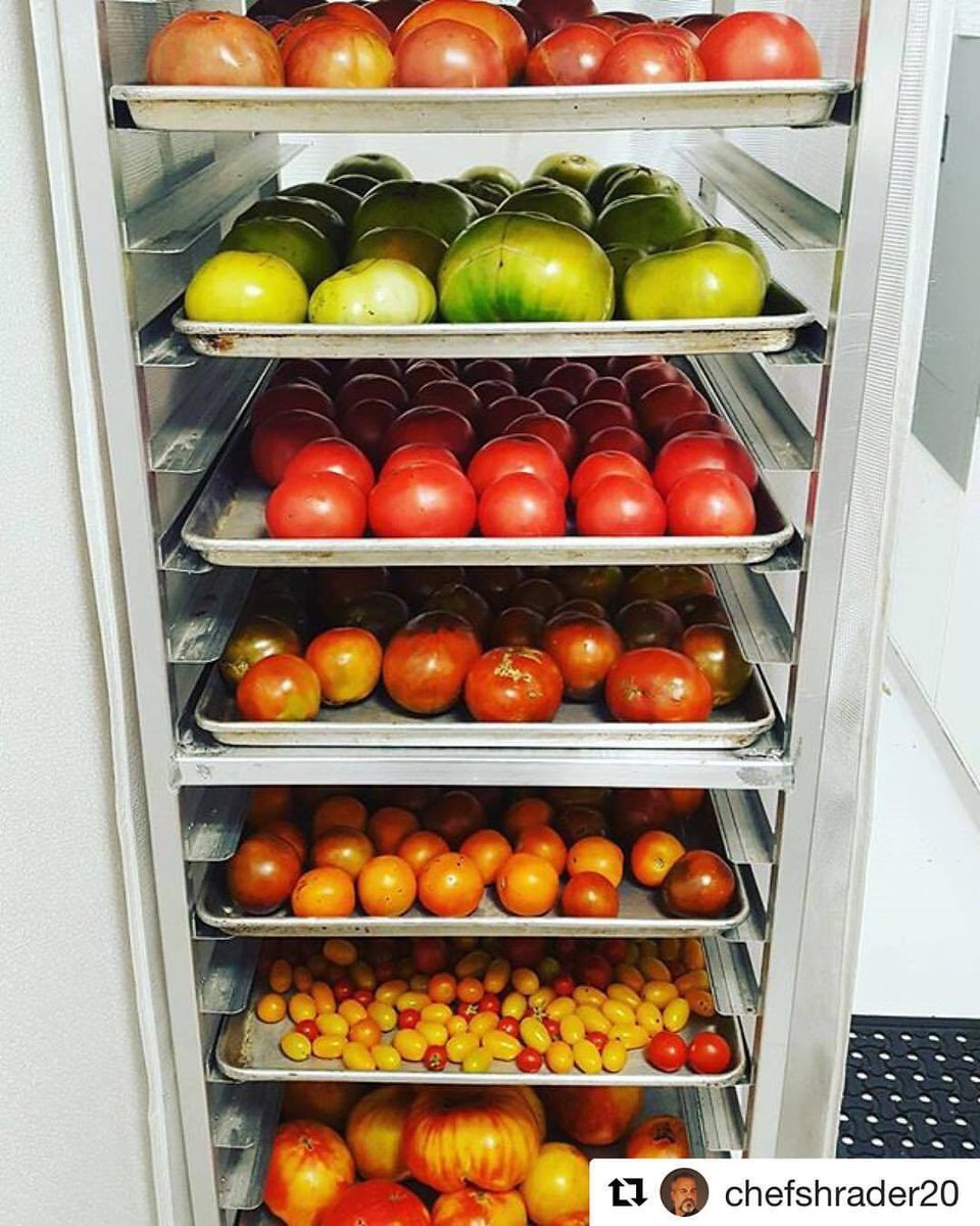 PLANTED | Chicago tweet media