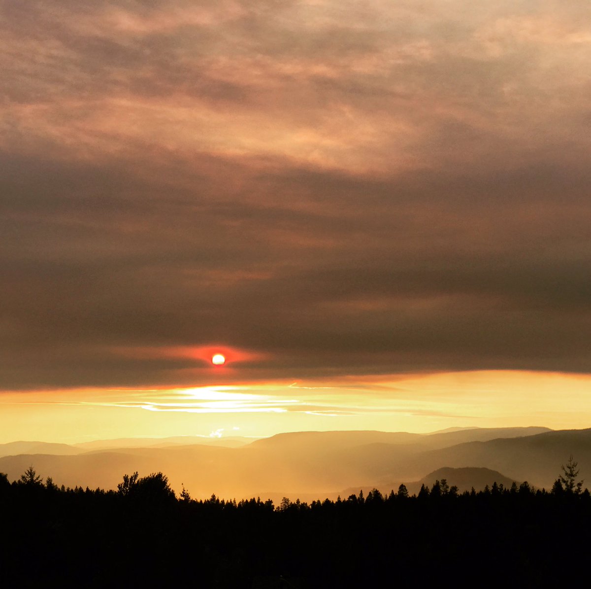 myracanyon's tweet image. Just one of many spectacular sunsets #explorekelowna #route97