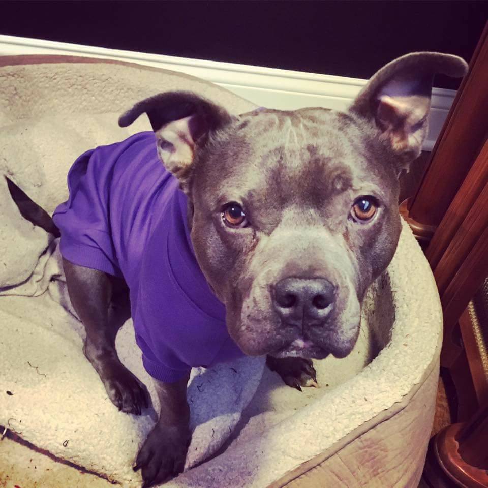 Sarah Spain tweet media