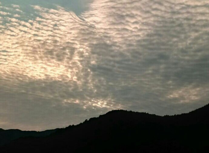 언제까지 벼랑 끝에
배를 붙이고
심연을 내려다 보며
있을 수는 없다
나아가기 위해서는
끊긴 길위에서
두 눈을 감고
두 귀를 닫고
자신의 본질을 향해
어느 순간 훌쩍
뛰어 내리지 않으면
안된다.