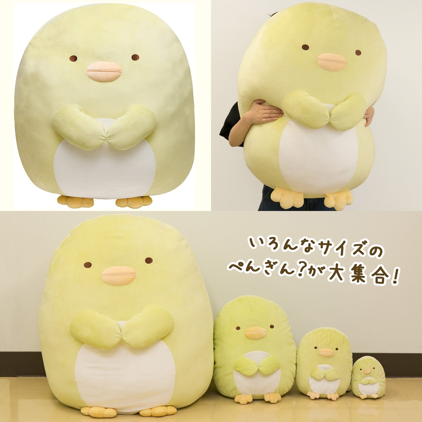 تويتر 公式 サンエックスネットショップ على تويتر 本日9 1 金 発売 すみっコぐらし特大ぬいぐるみ ぺんぎん ぺんぎん が大好きな方必見 つるんとしたフォルムでもちもちの特大ぬいぐるみが登場です サンエックスネットショップ限定で受注販売開始