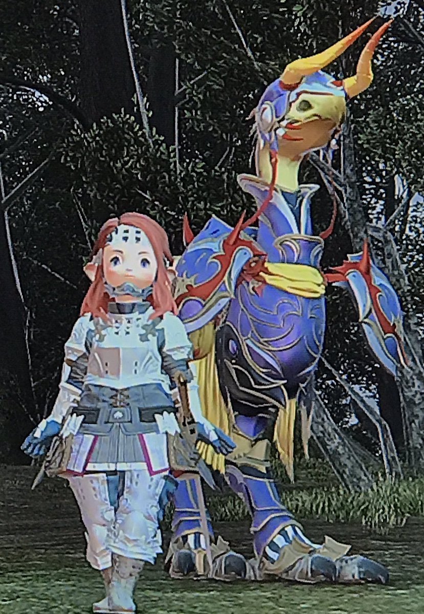 夢は光の戦士 冒険者はじめ〼 Hikari No Seiko Twitter