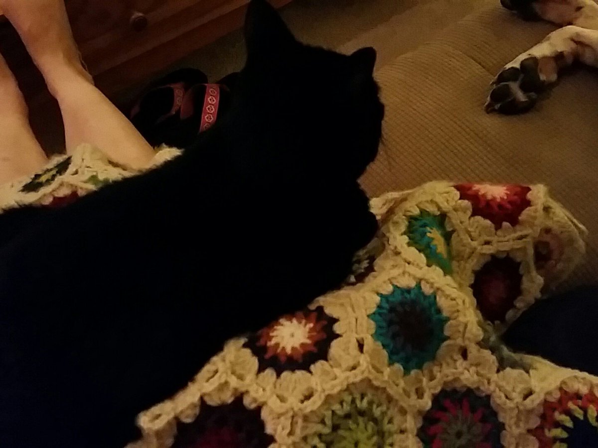 bethday87's tweet photo. "Oh were you trying to work on this?  Well, no."
#noratush #notmad https://t.co/1MrgQNbMNt