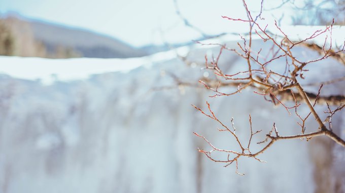 Twitterのコスプレ画像20